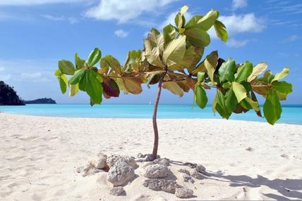 Prickly Pear Island