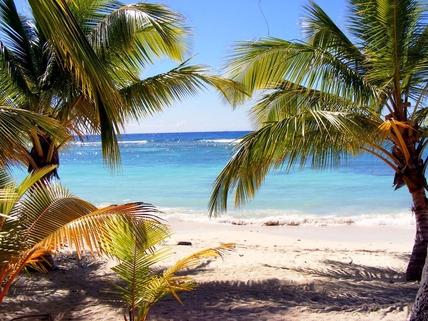Beach at Dominica