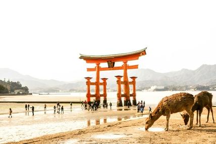 Itinerary image 8