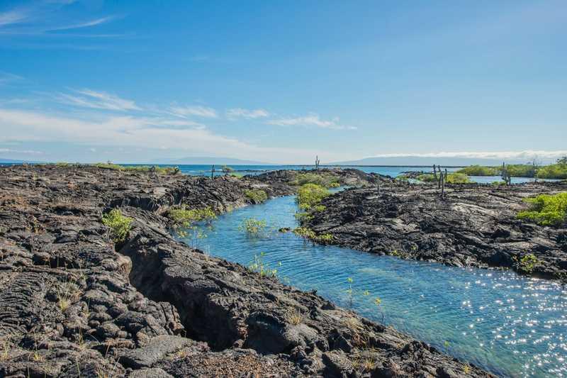 Vincente Roca Point, Isabella Island, Galapagos