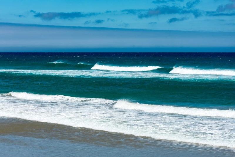 Dunedin
