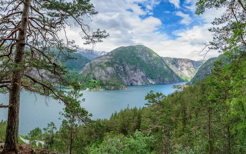 Nordfjordeid