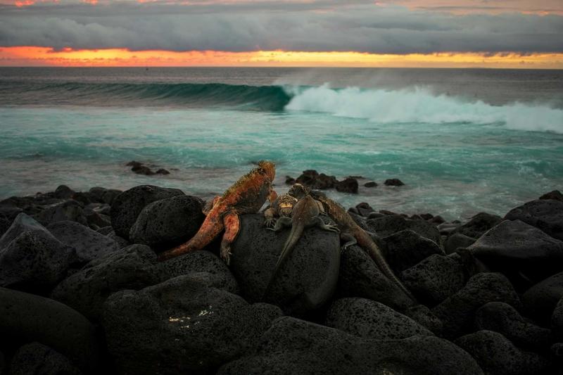 San Cristóbal Island, Galápagos