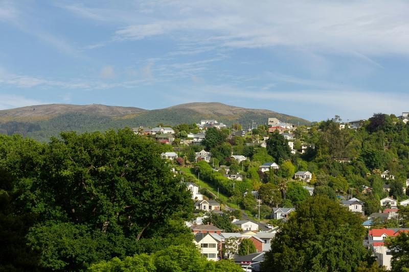 Dunedin