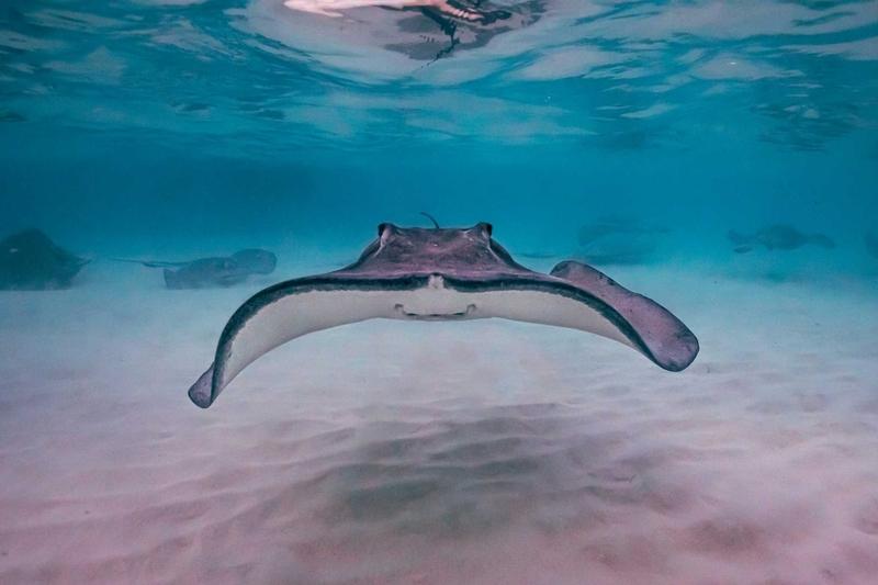 Grand Cayman