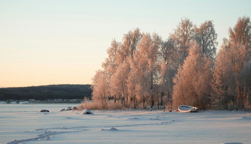 Luleå