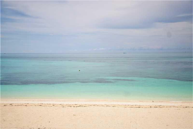Ocean Cay, MSC Marine Reserve