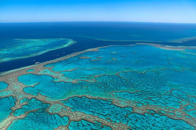 Ribbon Reef, Great Barrier Reef