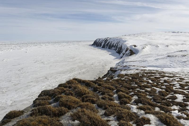 Herschel Island, Yukon