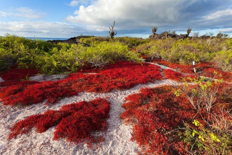 Floreana Island, Galapagos