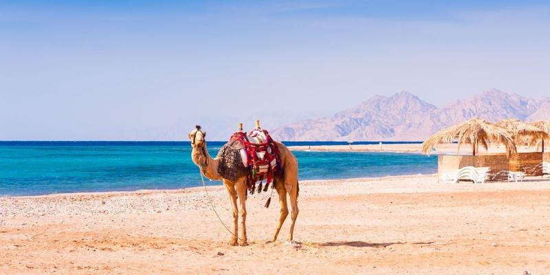 Ain Sukhna