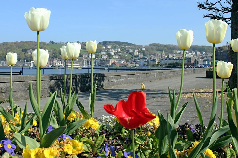 Rothesay, Isle of Bute