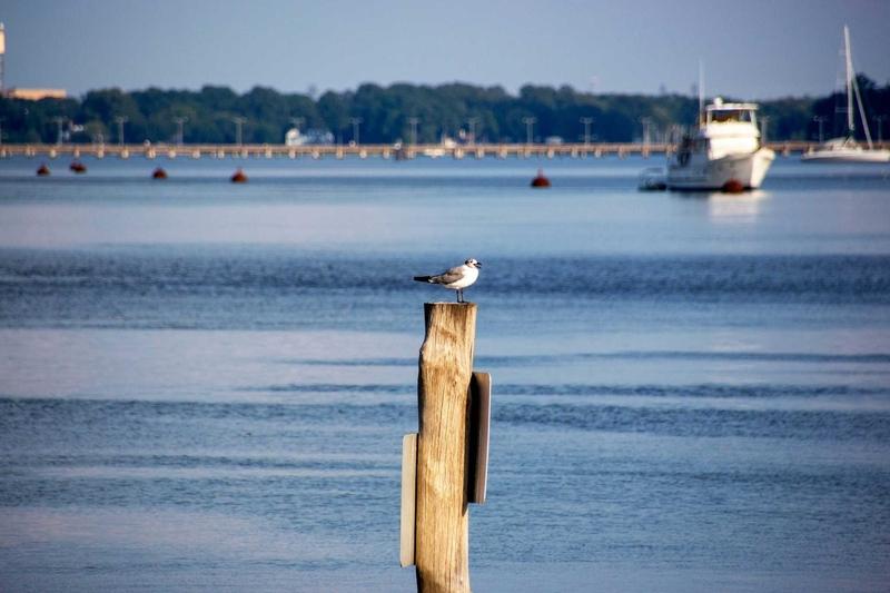 Yorktown, Virginia