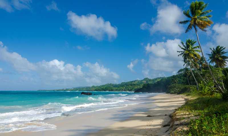 Samaná