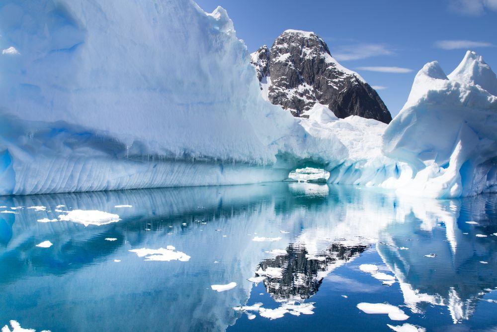 Antarctic Experience