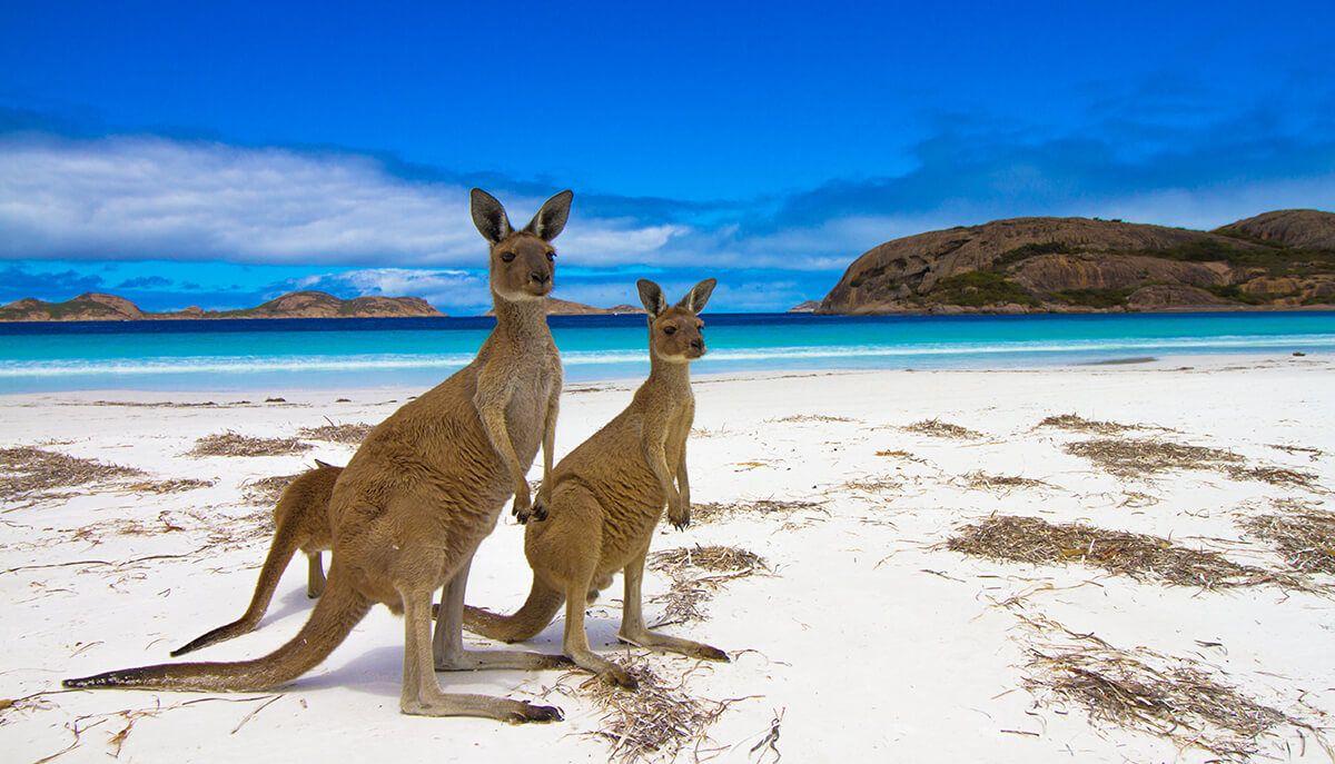 Kangaroo Island, South Australia