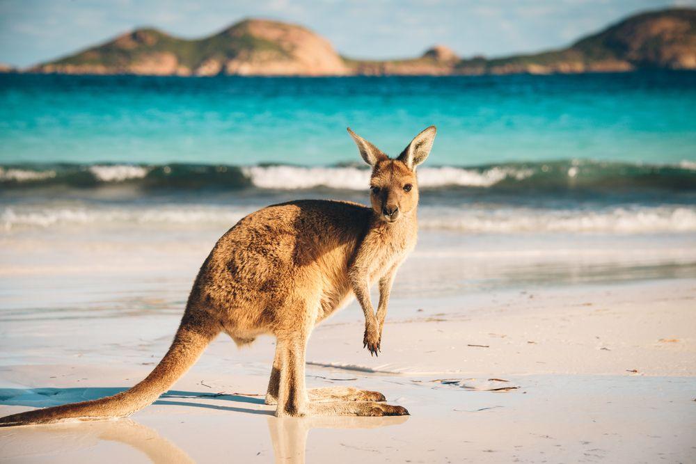 Kuri Bay, Western Australia