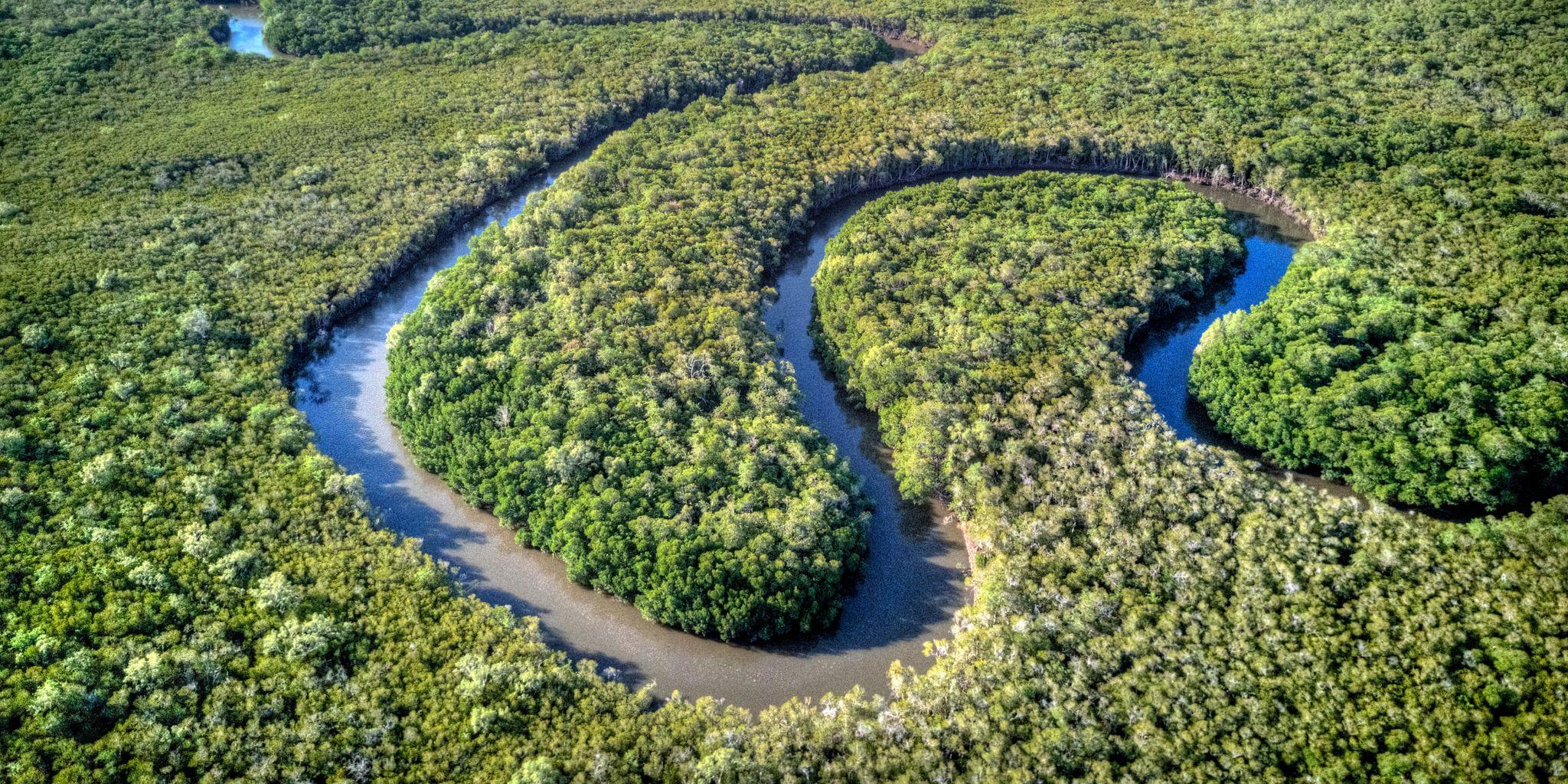 Yorkeys Knob, Cairns, Queensland