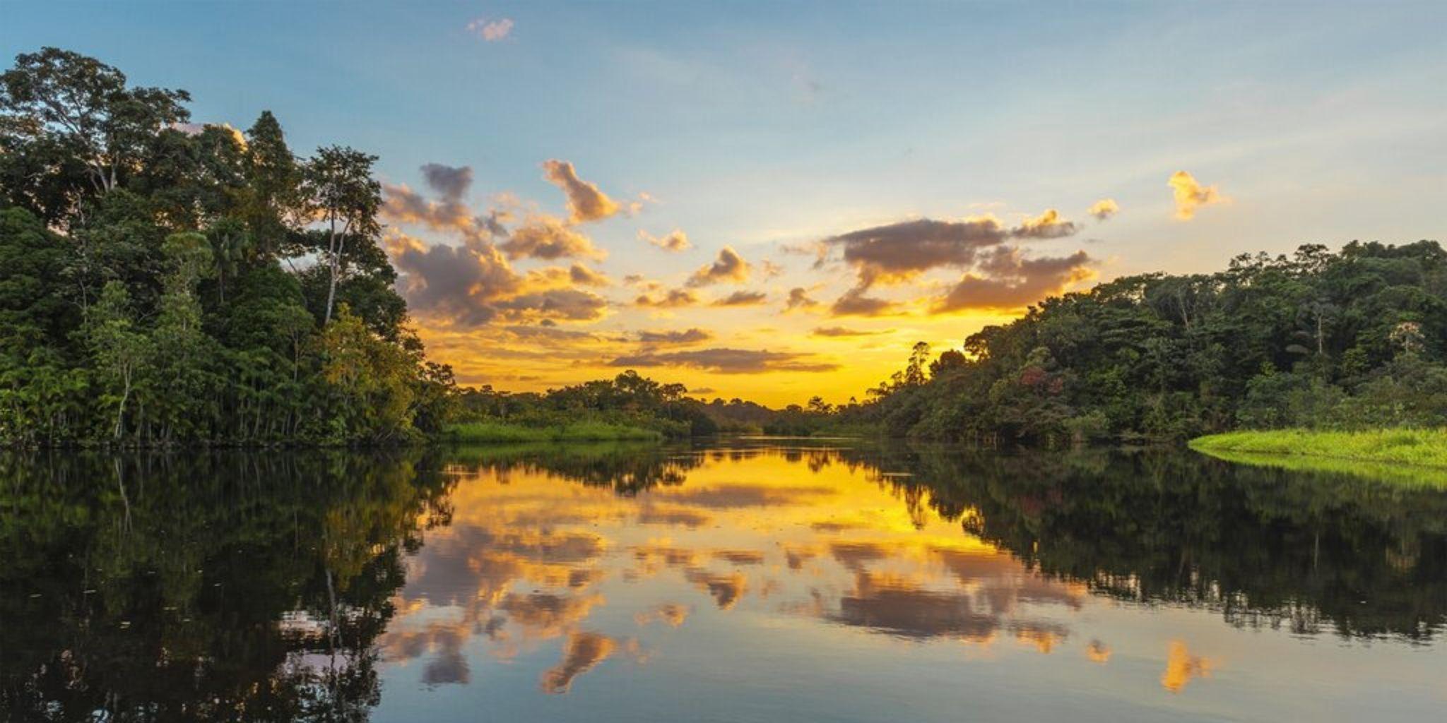 Manaus