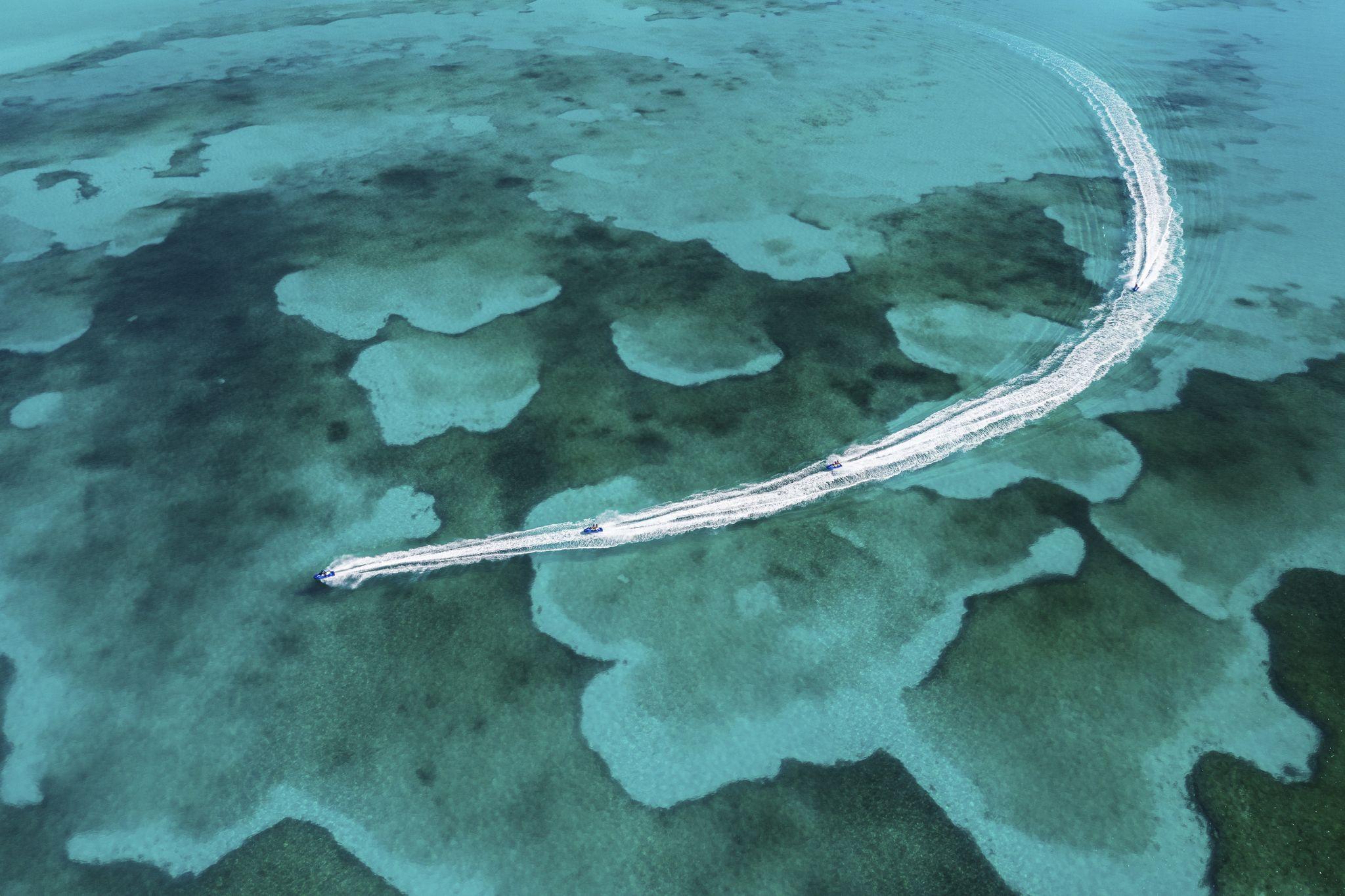 Ocean Cay, MSC Marine Reserve