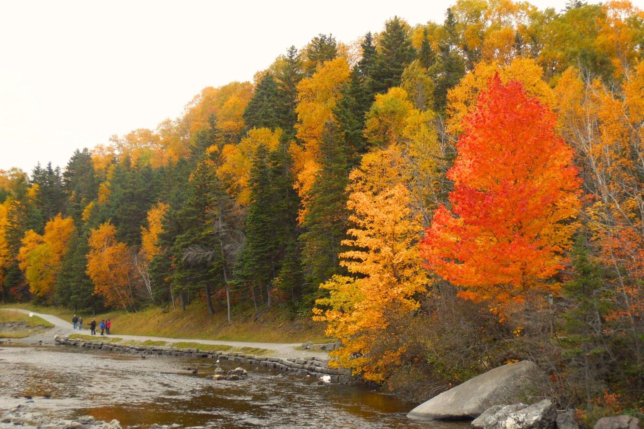 Corner Brook, Newfoundland and Labrador