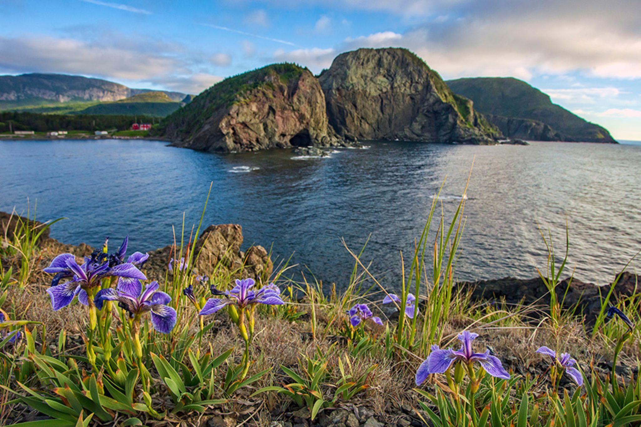 Corner Brook, Newfoundland and Labrador