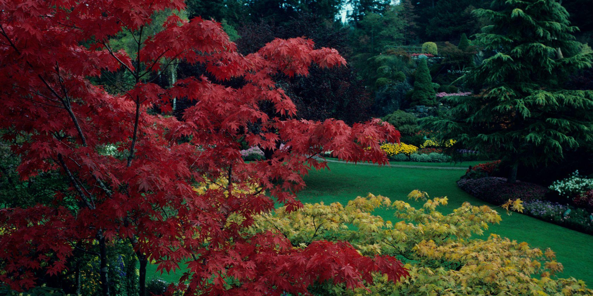 Victoria, British Columbia