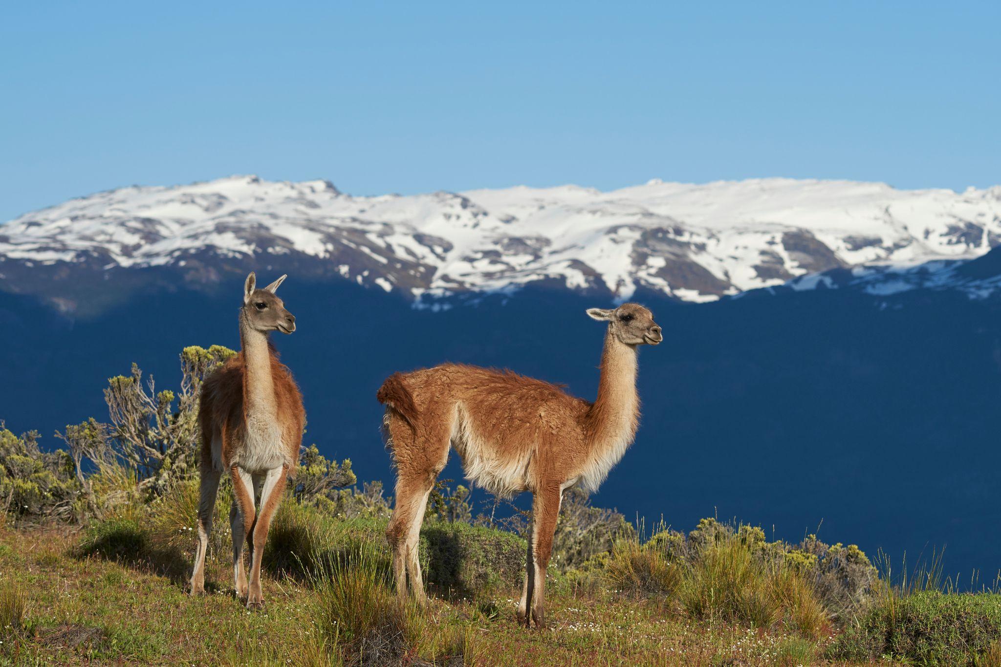 Puerto Chacabuco