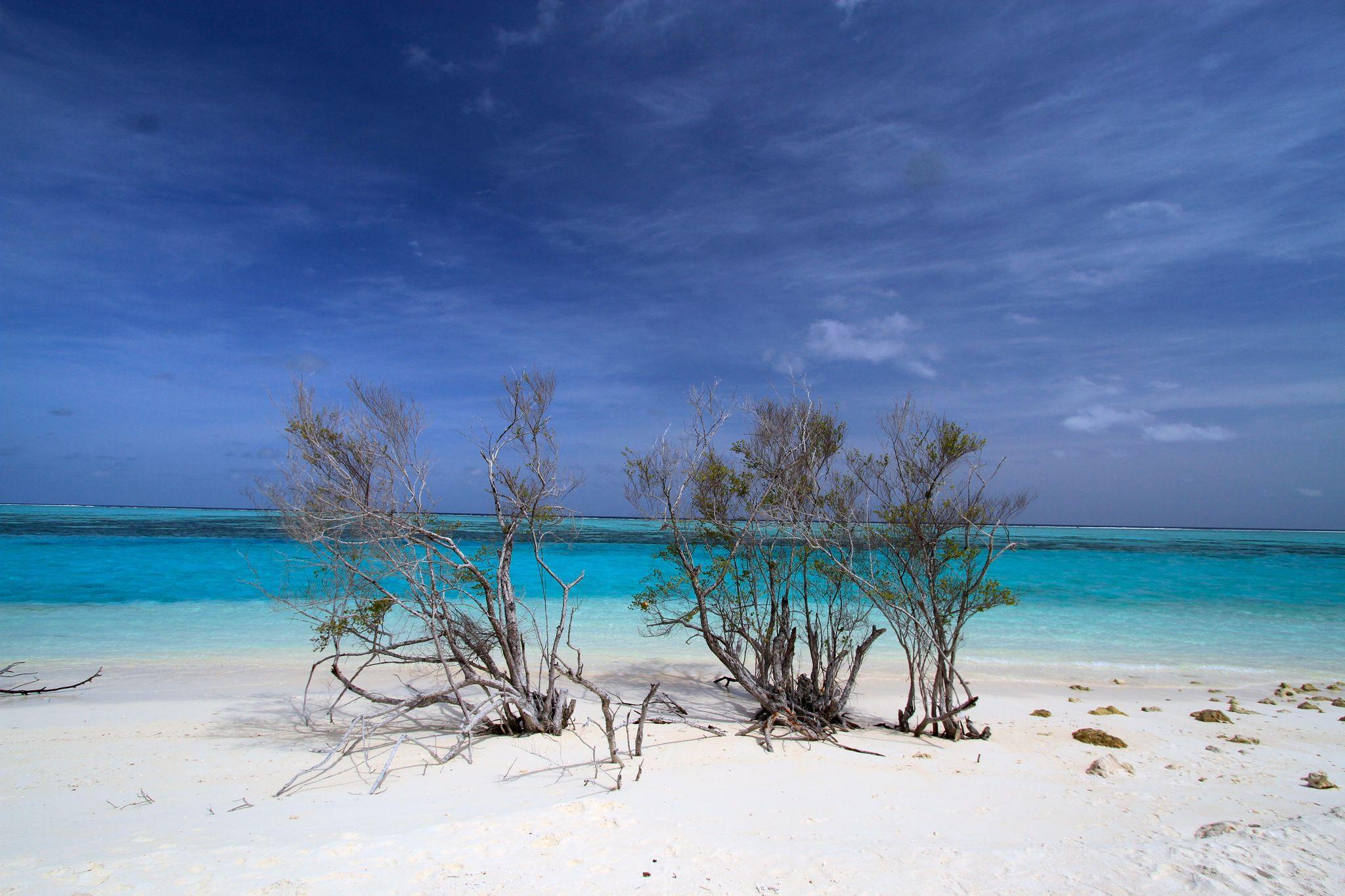 San Juan Bautista (Robinson Crusoe Island)