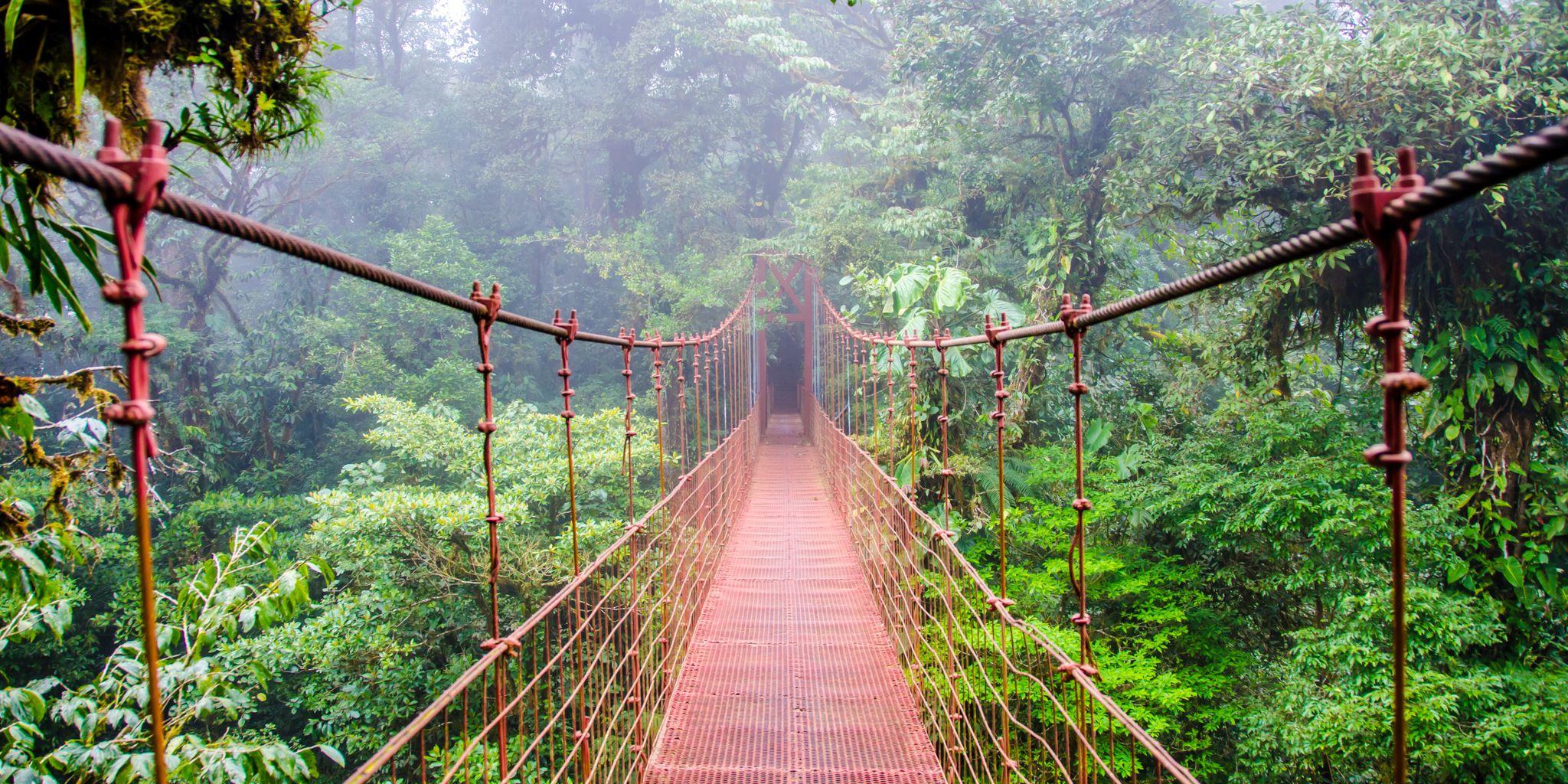 Puerto Limón