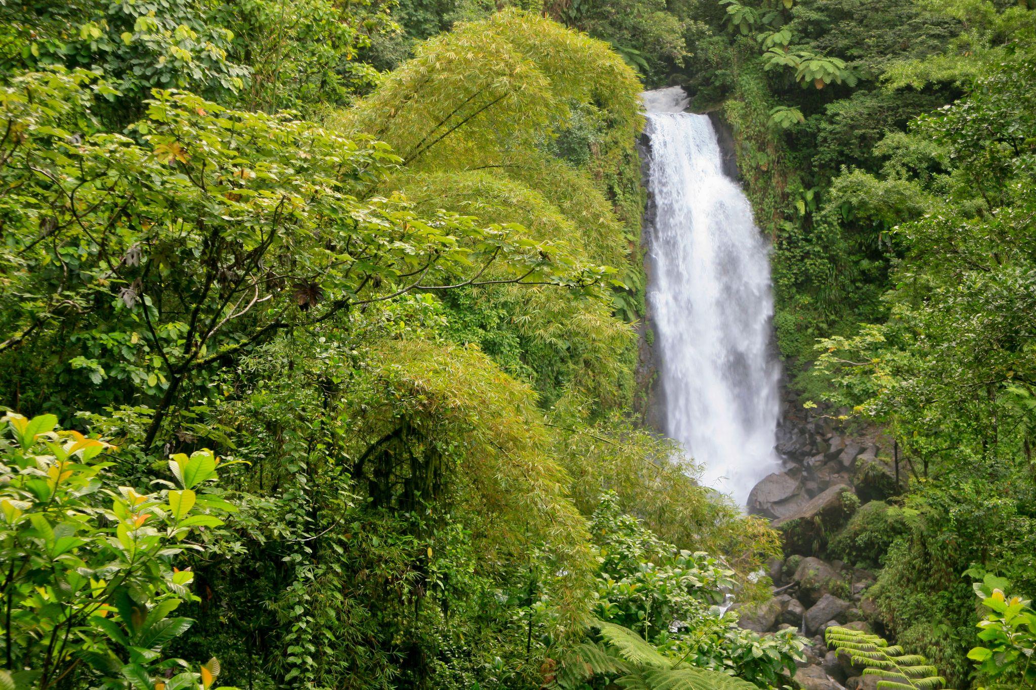 Dominica