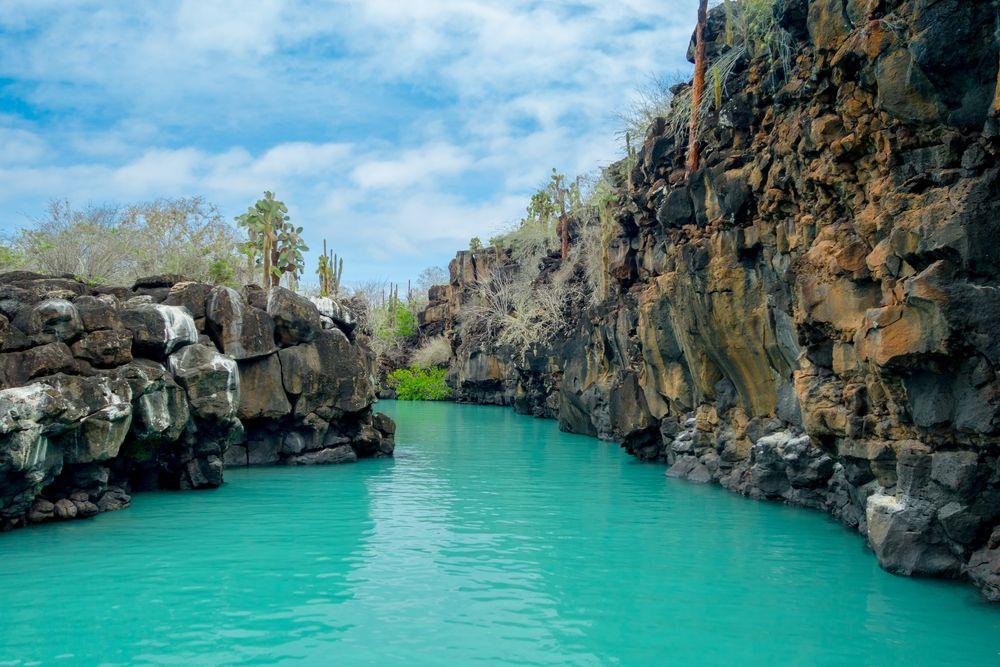 Puerto Ayora, Isla Santa Cruz