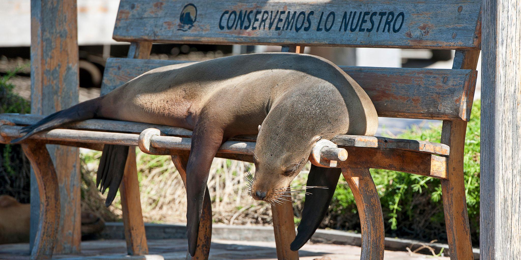 Puerto Baquerizo Moreno, San Cristobal Island, Galapagos