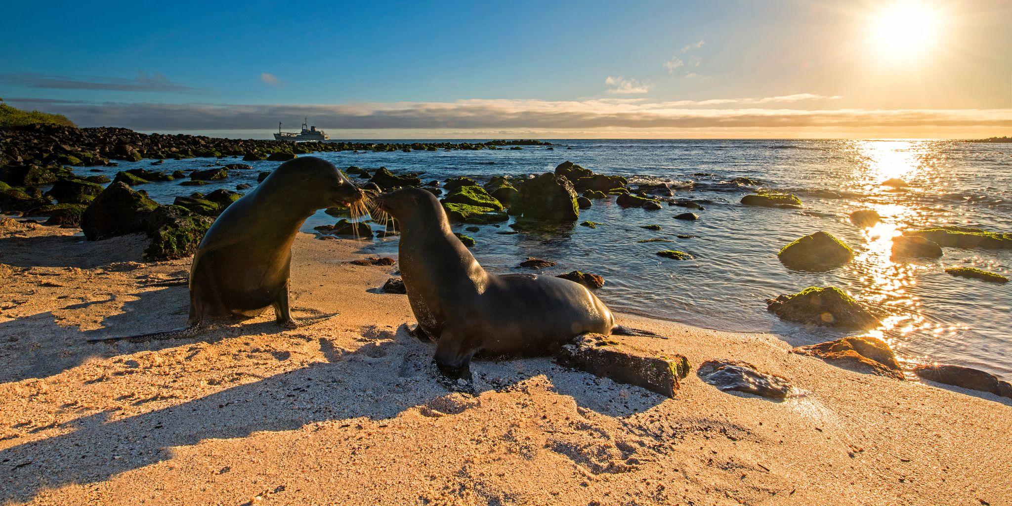 Puerto Baquerizo Moreno, San Cristobal Island, Galapagos