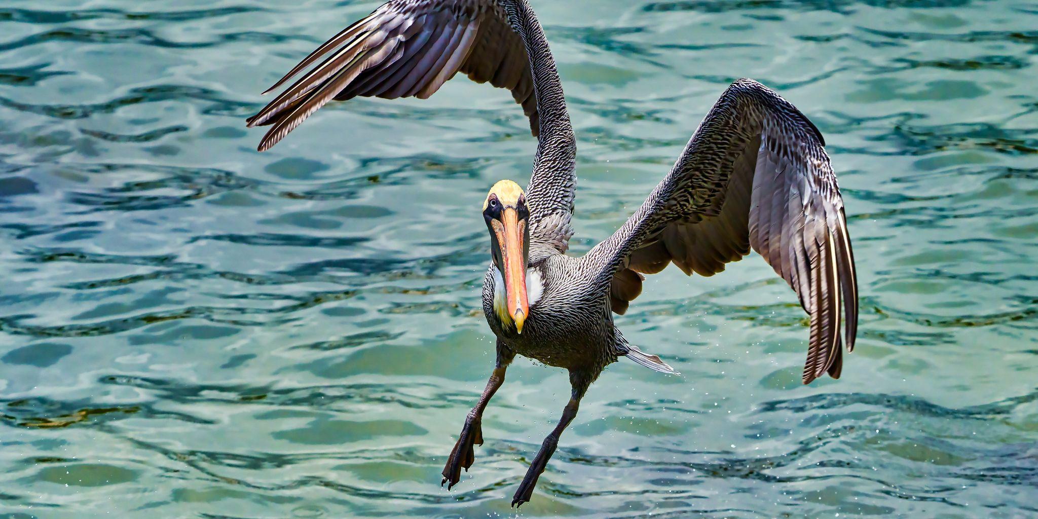 Puerto Baquerizo Moreno, San Cristobal Island, Galapagos