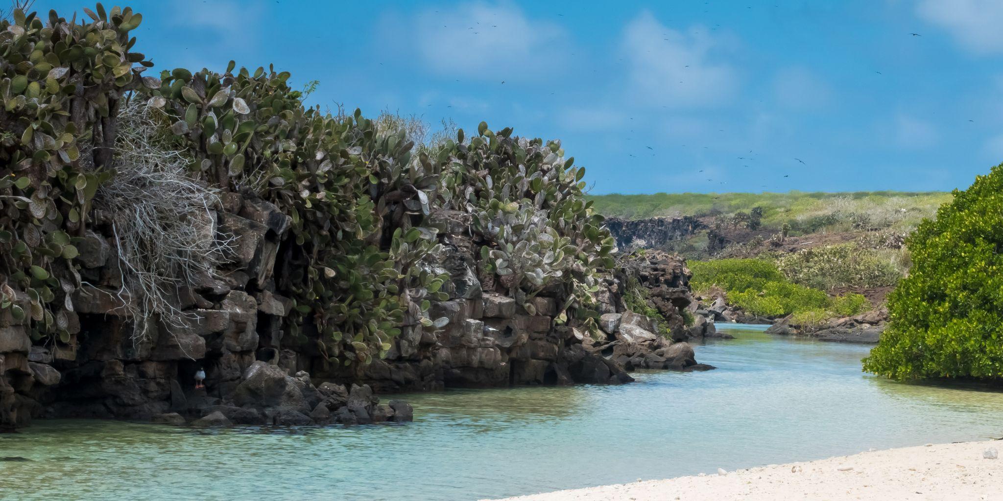 El Barranco, Genovesa Island, Galápagos