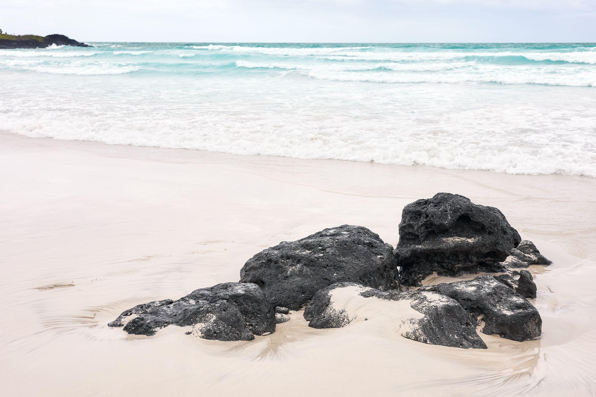 Black Turtle Cove, Santa Cruz Island, Galapagos