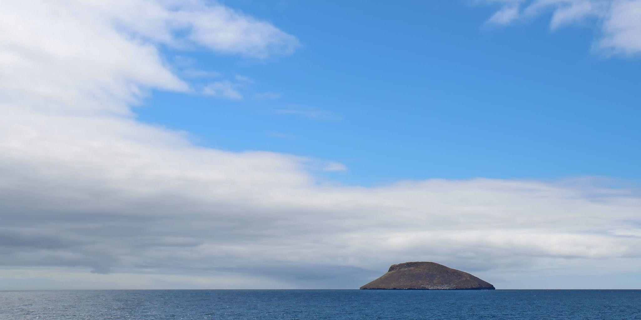 Daphne Major, Galapagos