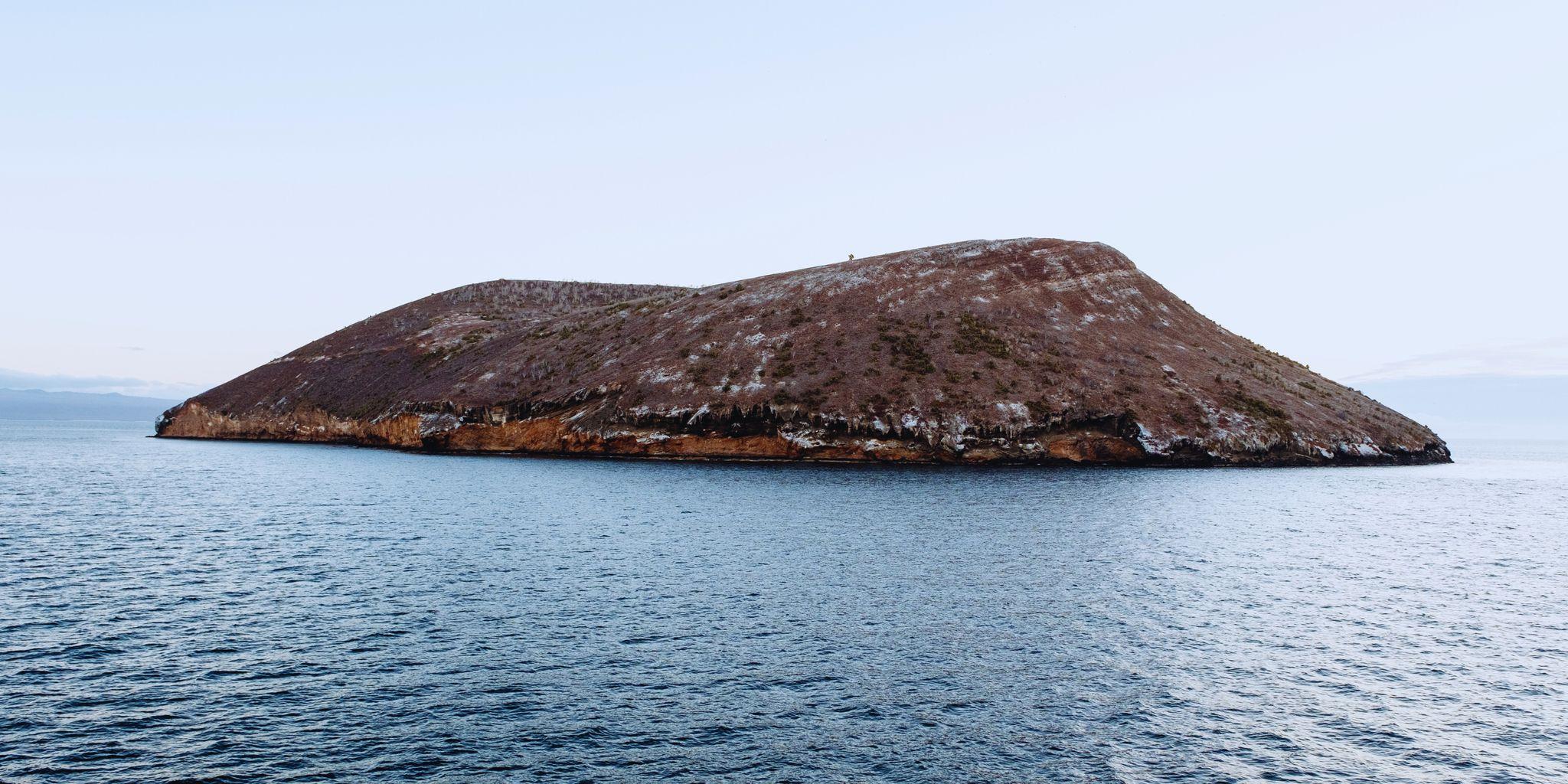 Daphne Major, Galapagos