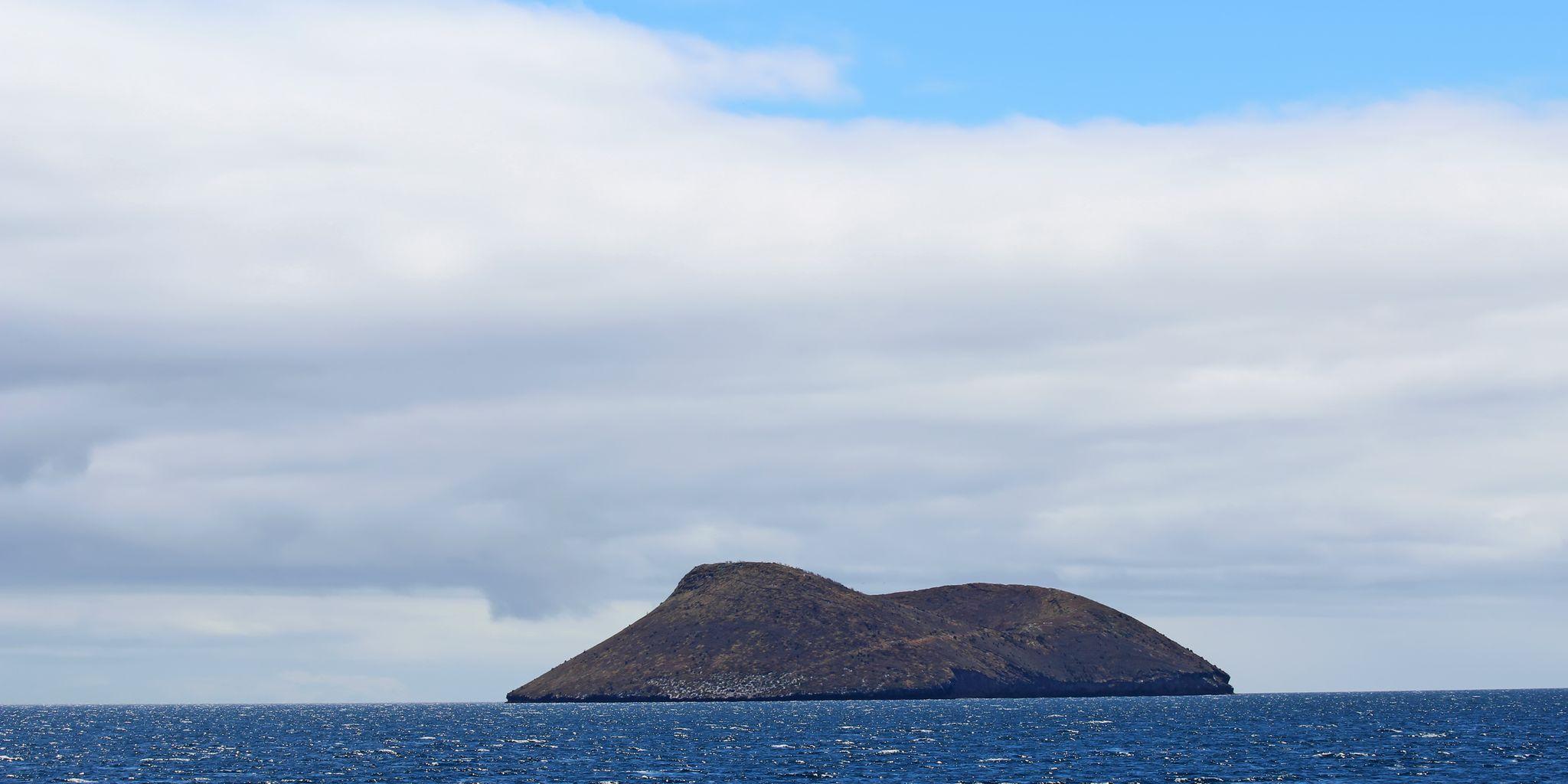 Daphne Major, Galapagos