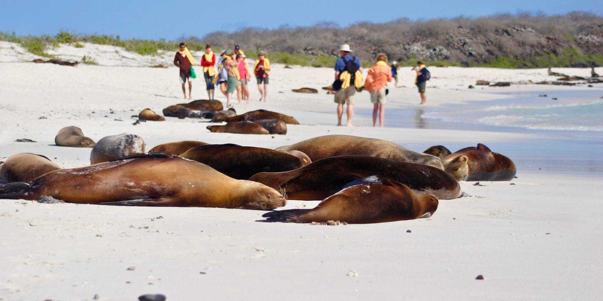 Darwin Bay, Genovesa Island, Galápagos