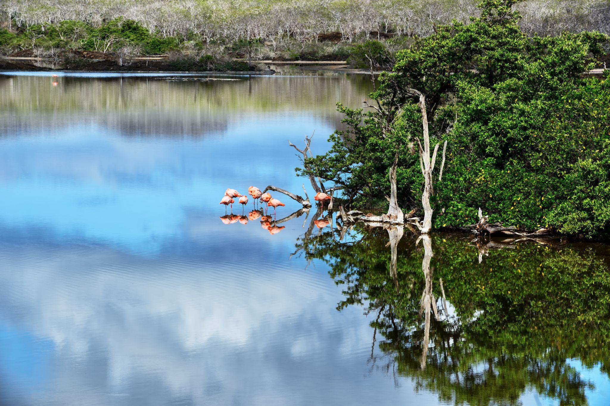 Floreana Island, Galapagos