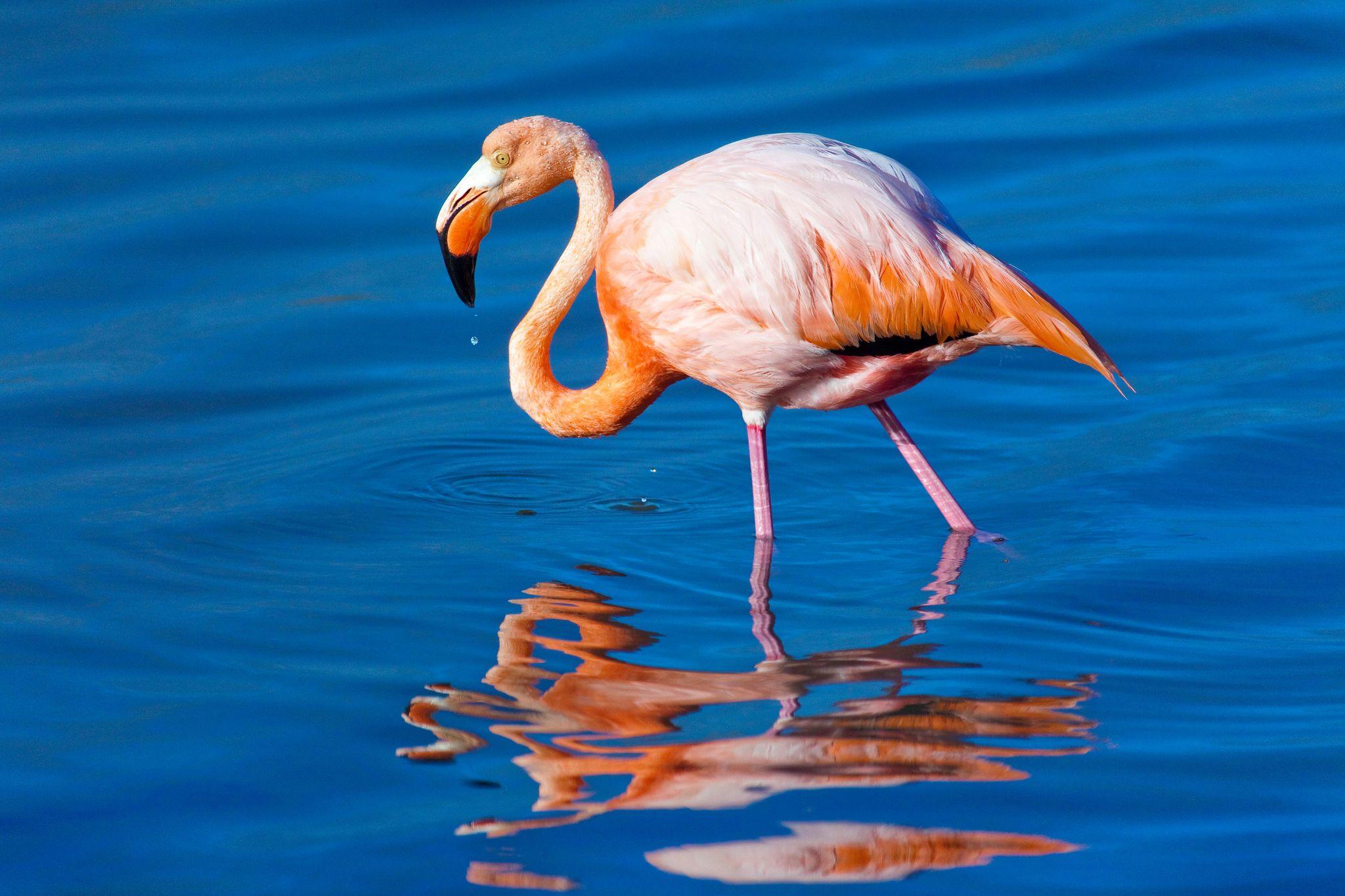 Floreana Island, Galapagos