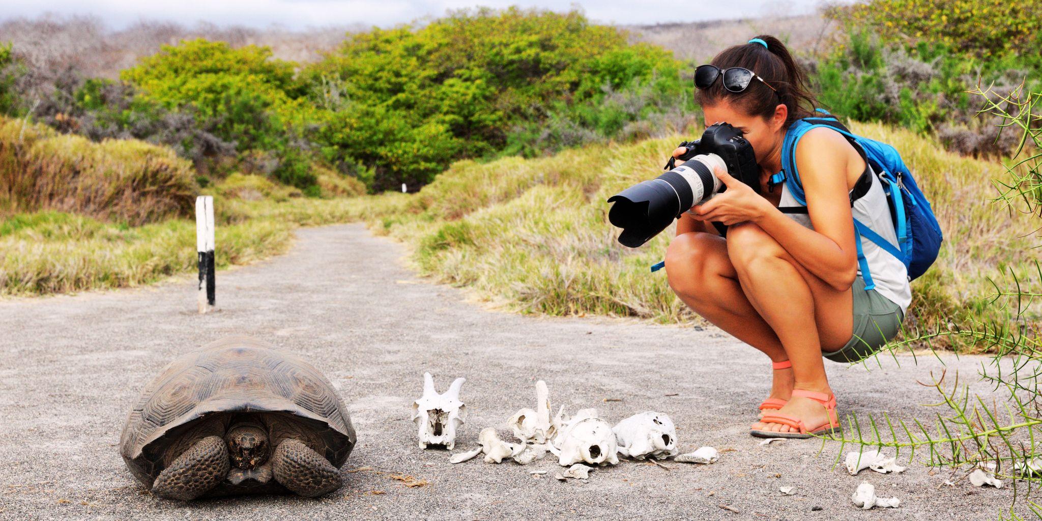 Urbina Bay, Isabella Island, Galapagos