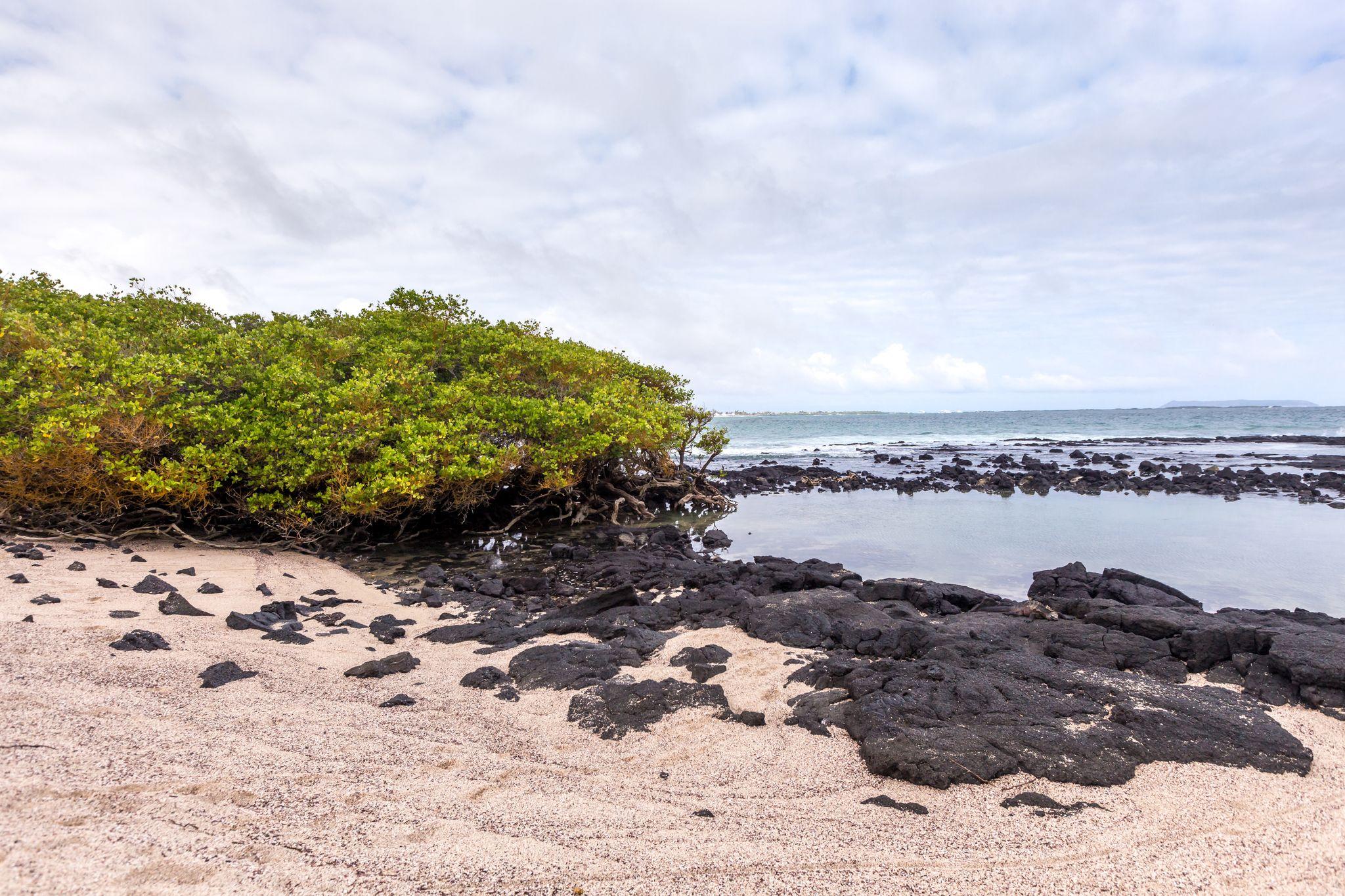 Puerto Villamil, Isla Isabela