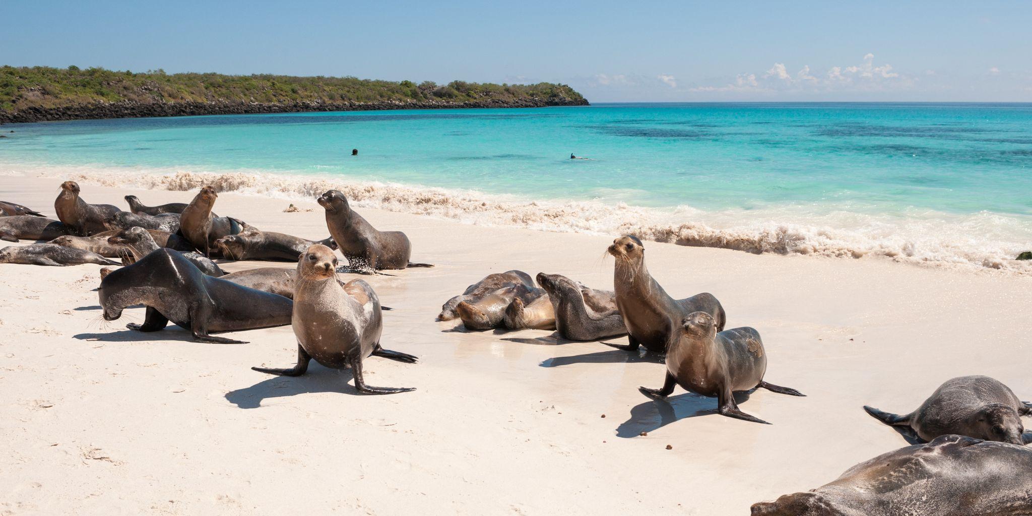 Baltra Island, Galápagos