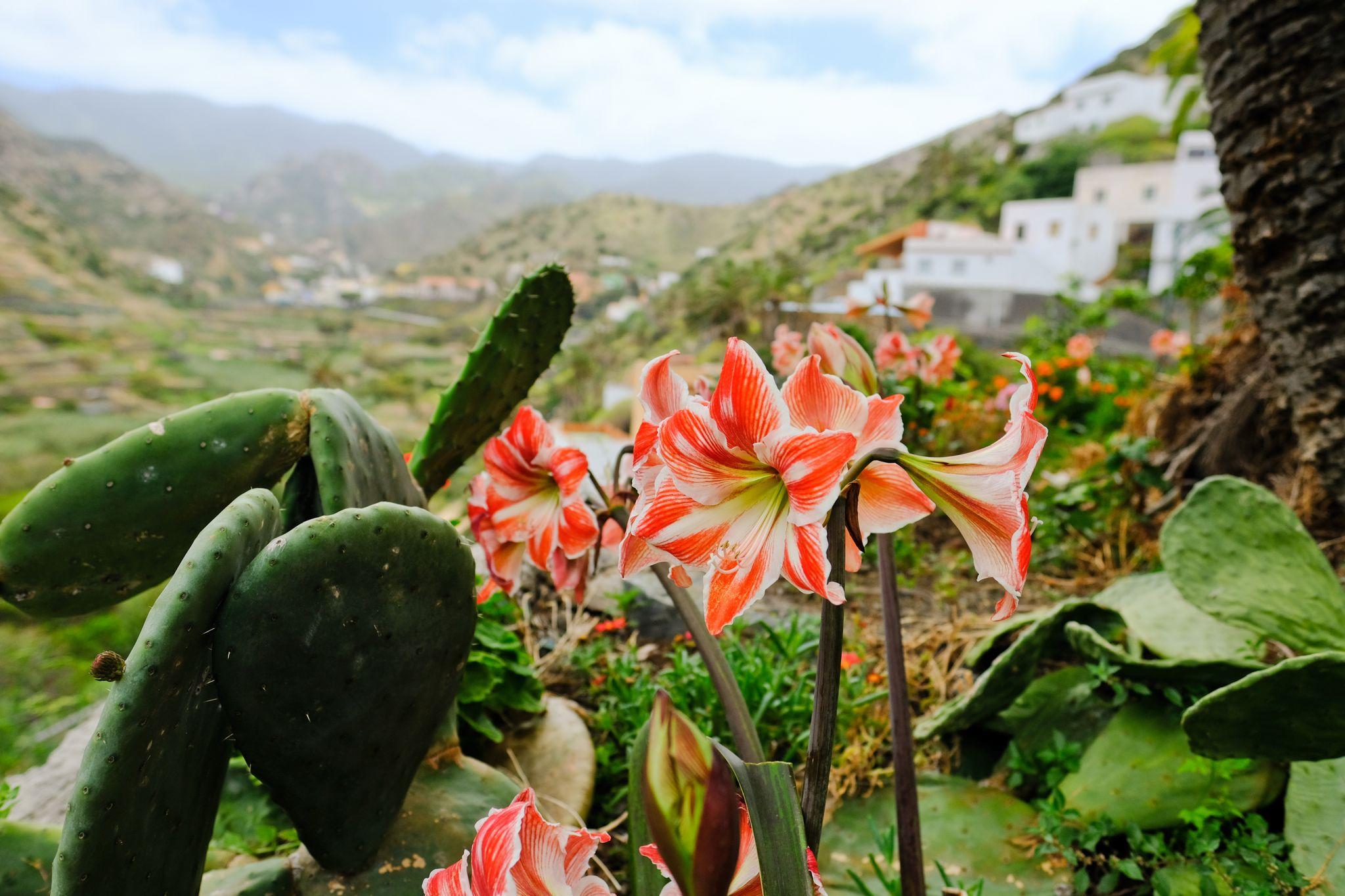 San Sebastian de la Gomera