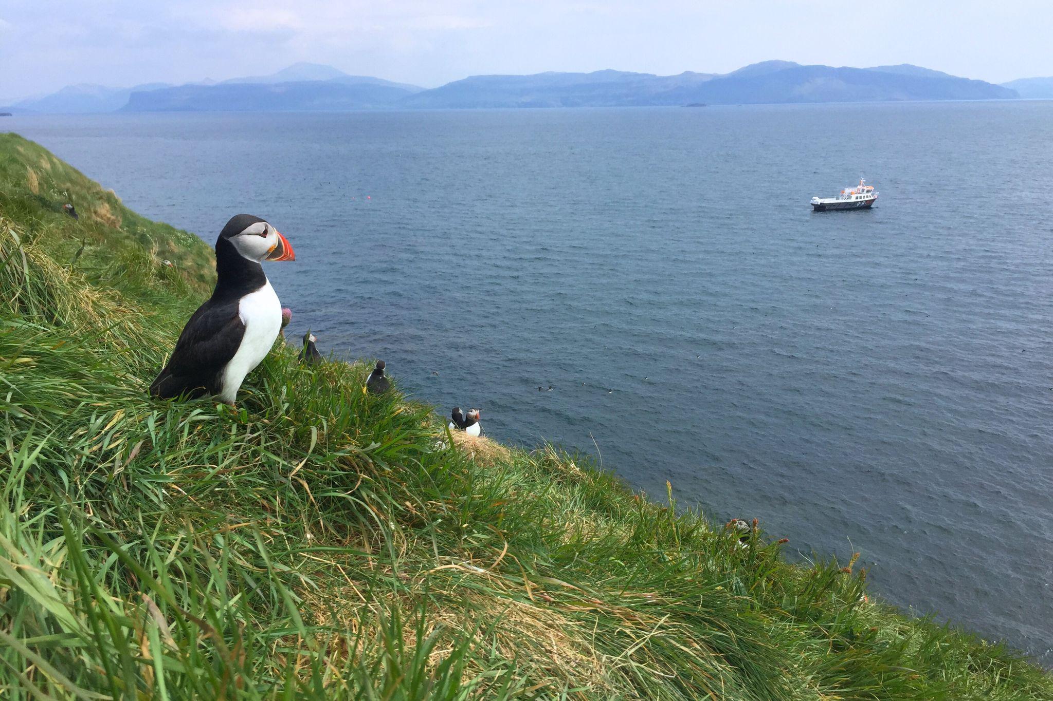 Staffa Island