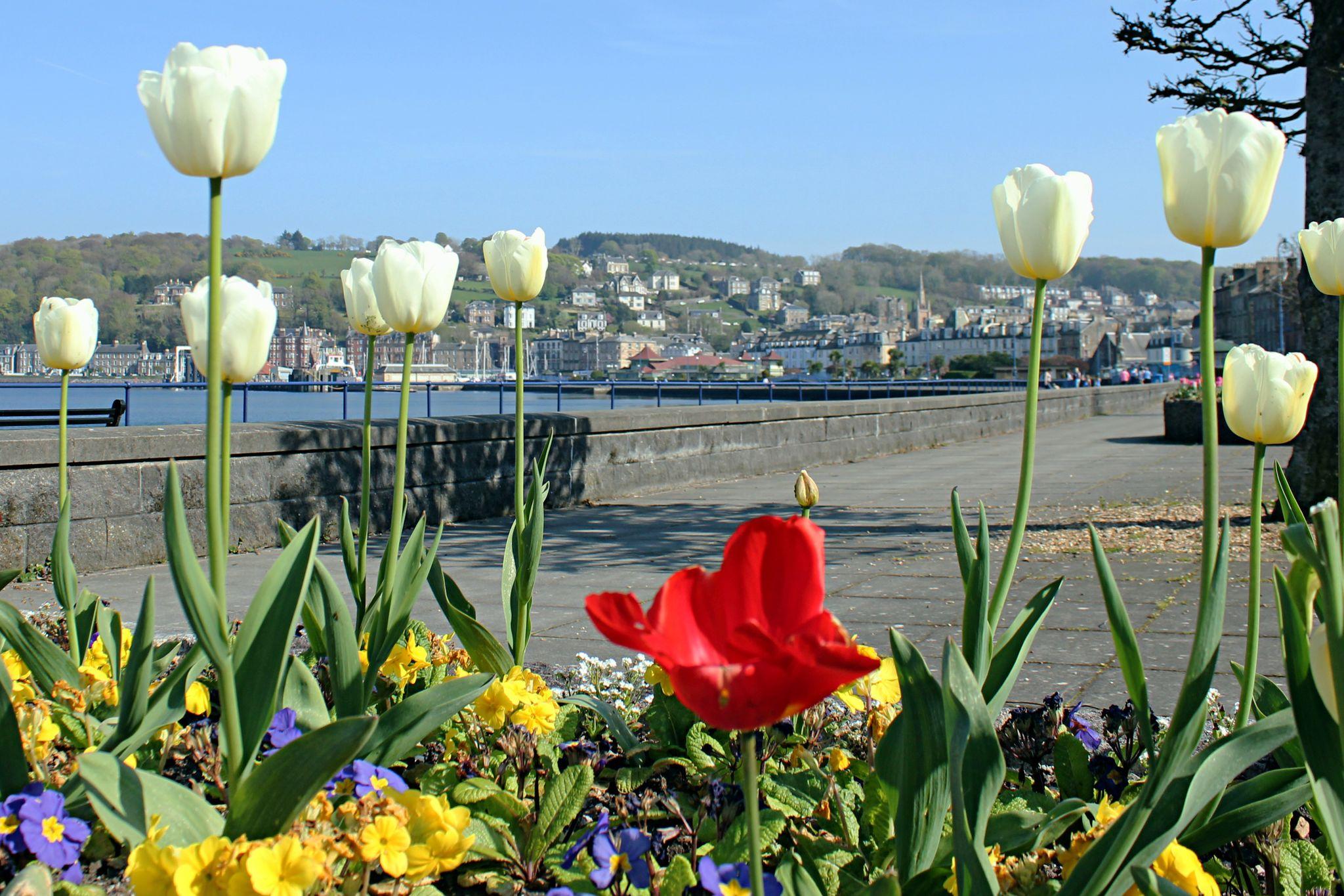 Rothesay, Isle of Bute