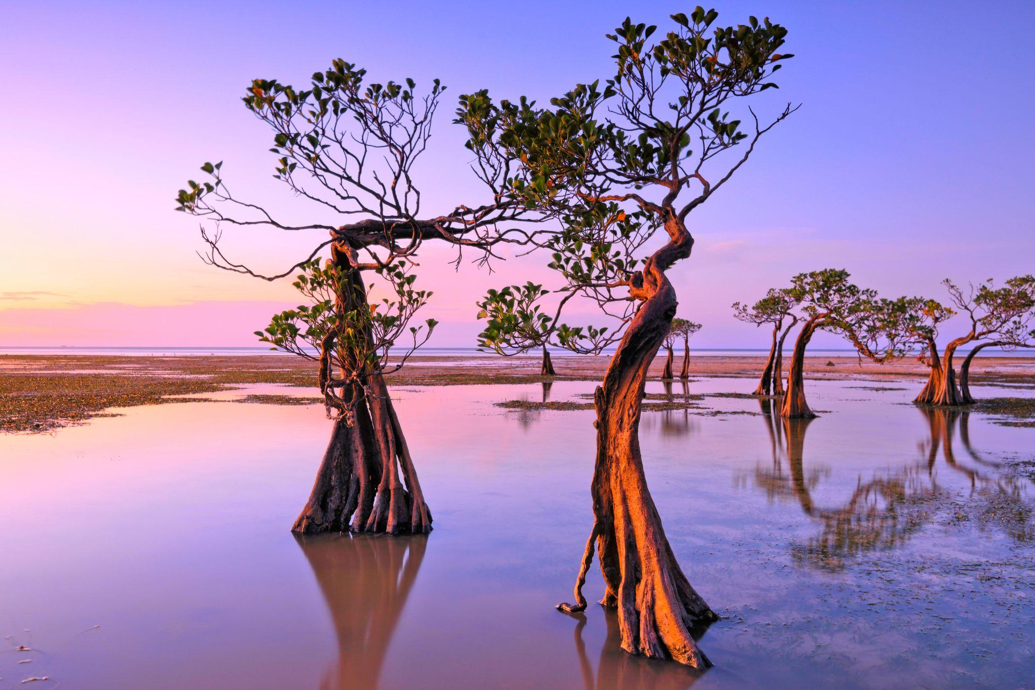 Waingapu, Sumba